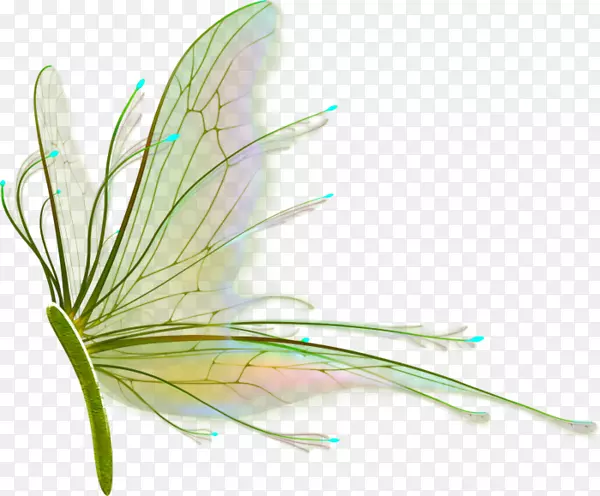 ��������ëͼ.����-������