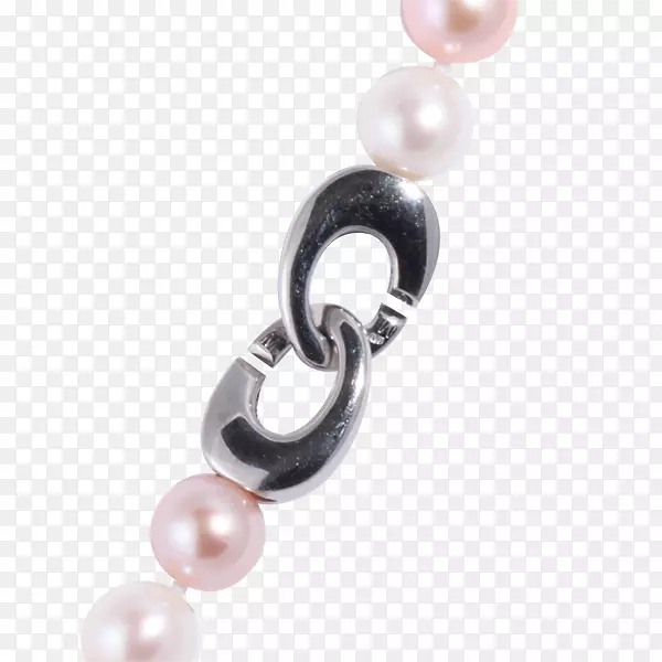 �������������.�鱦-������