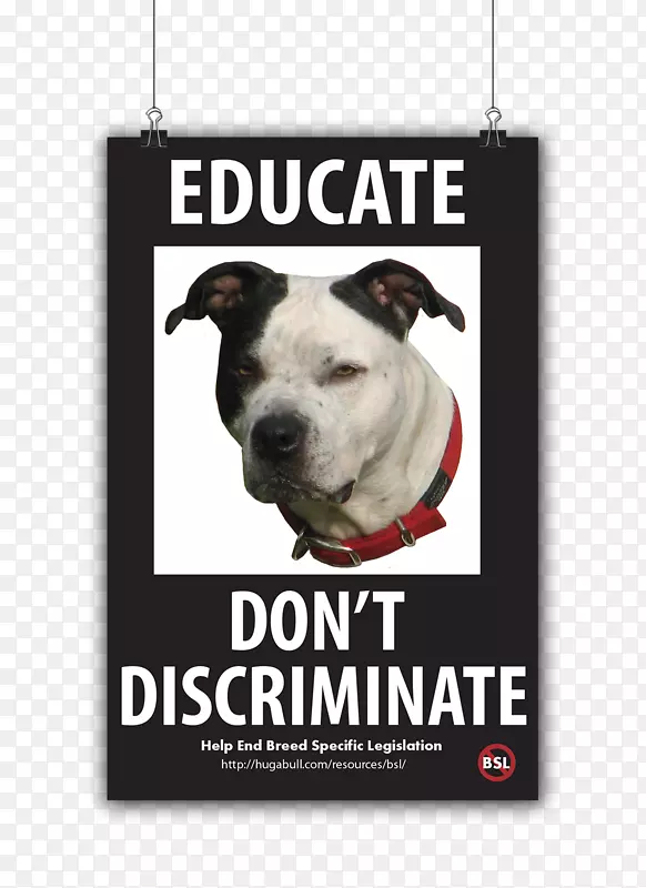 Ȯ�ֱ��Ӻ���-��-������