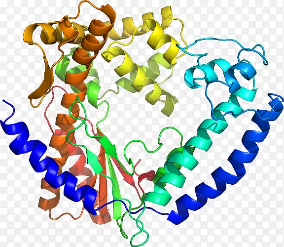 ���������л����߼�������-������