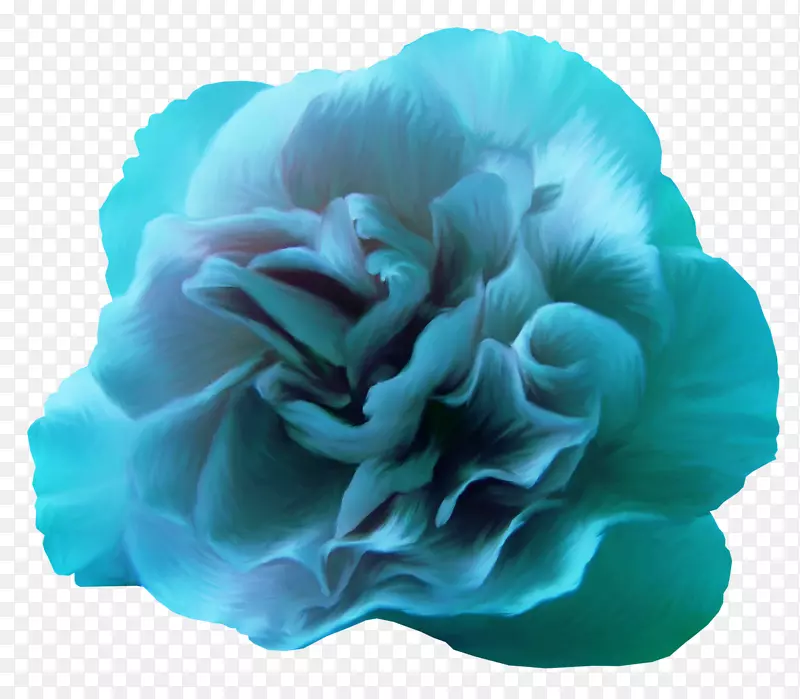 ��õ�廨ɫõ��-������