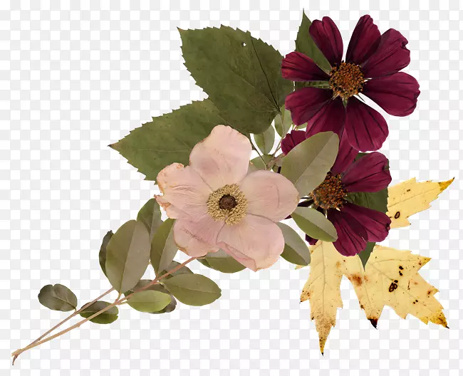 �������-�廨����-������