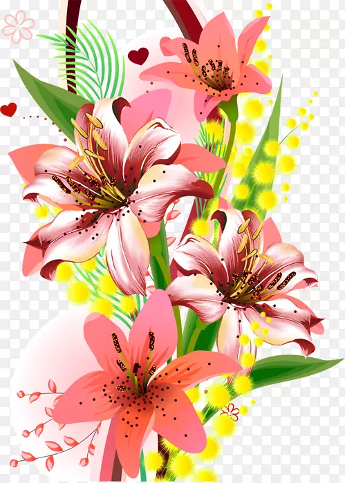 ���ܰٺϼ�����.�ֻ�ٺ�װ��-������