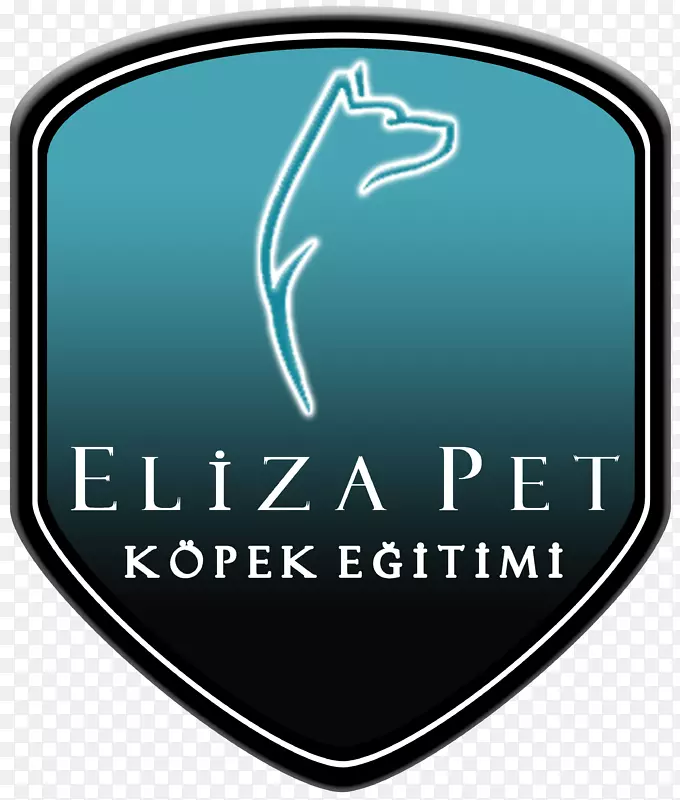 �Ĵ�����ţȮ���˹��С���ռ�һֻ����ë����ҽ��������Ϊ-С��-������