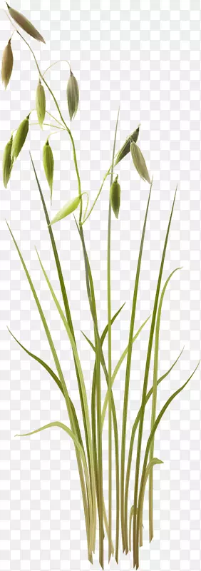 ��ģ�������-��-������