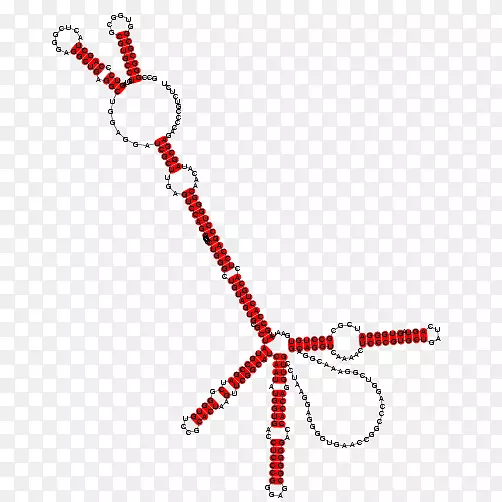 �ߵ�������μ�������-������