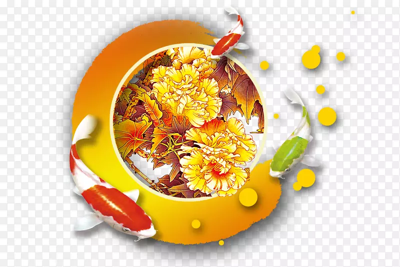 ���𺣱�-��ĵ��-������