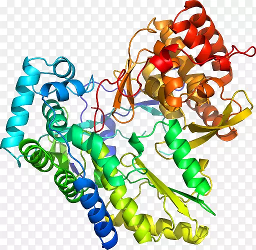 ���������л����߼�������-������