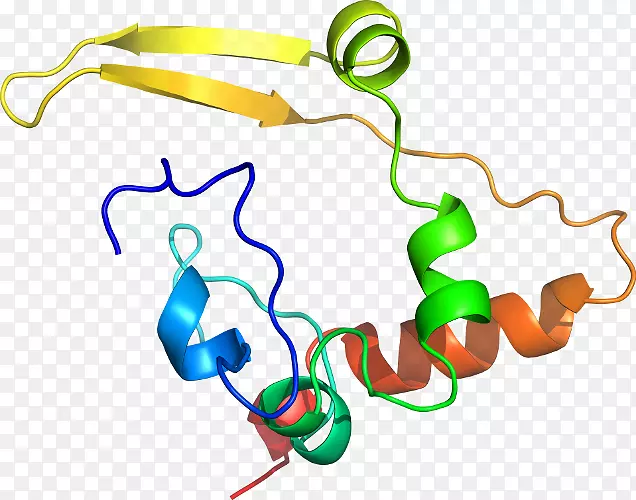 �ߵ������-��-������