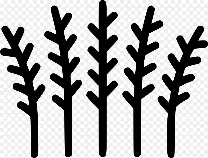 ͼ����Ƶ���ͼ��ͼ���������ƻ��������-ƻ��-������