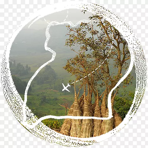 һ�������ΰ��Ĺ��ʶ�ͯ�������İĴ���������-����-������