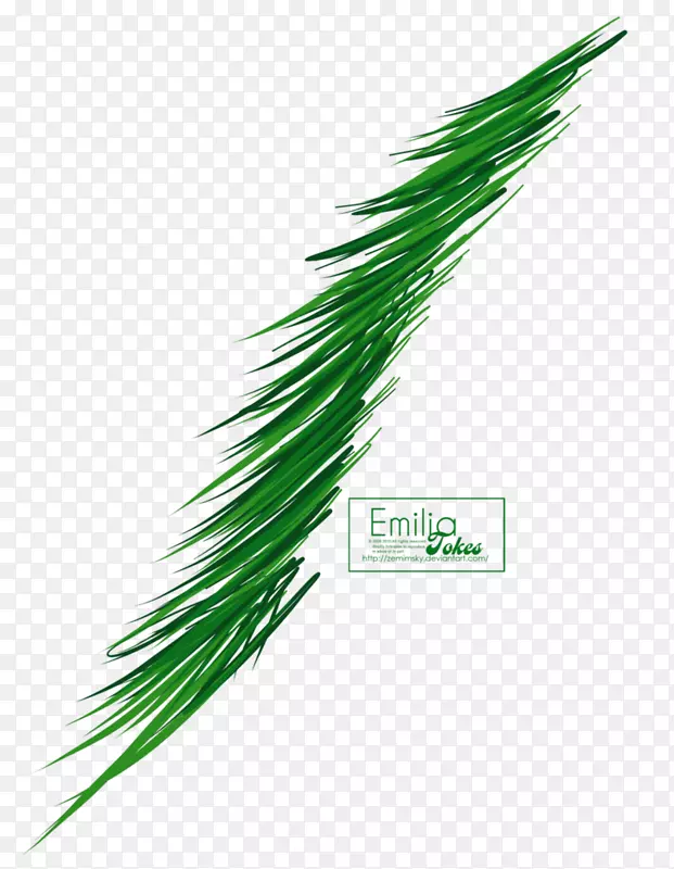 ��С���ݡ�����ʿ�ˡ���Ʒ�ݱ�ֲ��-����֦-������