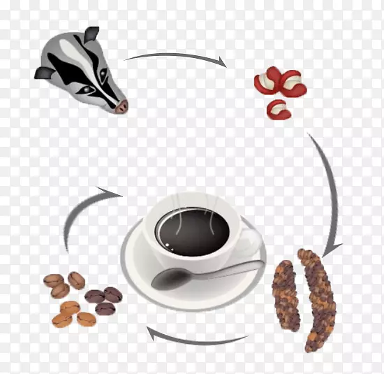 ������kopi luwak������-è�࿧���γ�ͼ-������