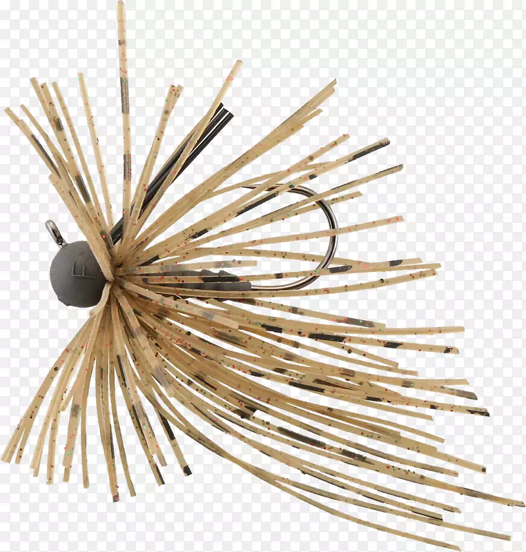 ��ǩ-��ʿ-������