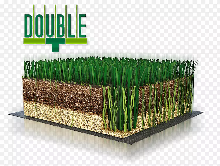 ��ƺ�˹���ƺ������̹�������18-���򳡲�ƺ-������