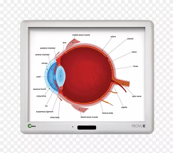 ��ʾ�豸��ý�����.��������-������
