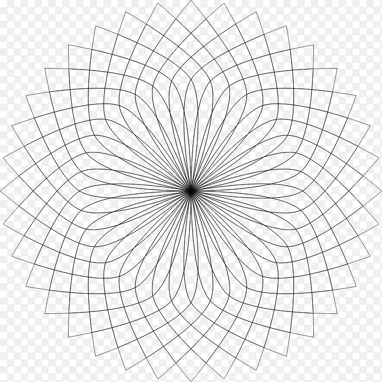 �����ṹ�Գ��ݲ���Q������-������