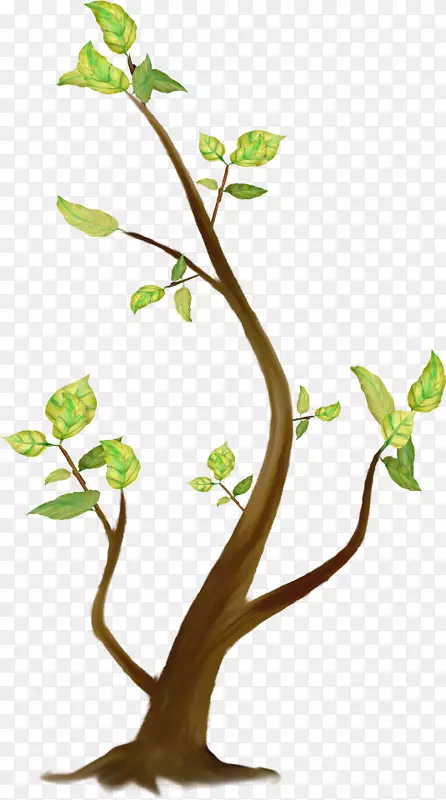 ��֦��ľ����Ƭ��������-������