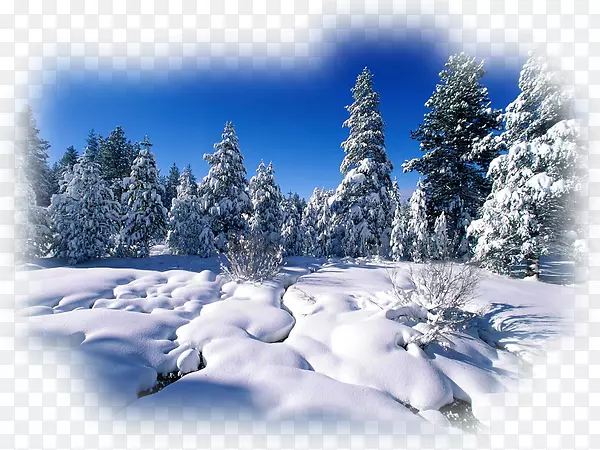 �����ֽ������Ӱ.����-������