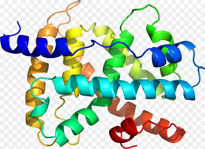 �����鱦���л����������-������