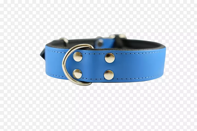 Ƥ�������-������