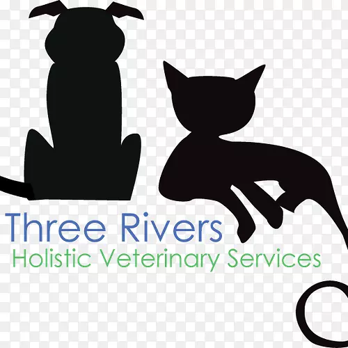 ���룬����è�����ӣ���-������