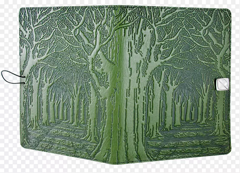 �����δ�����-������