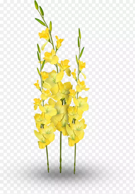 ��������л�ֲ�ﾥ��-������