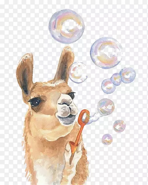 ������ˮ�ʻ��滭����-������