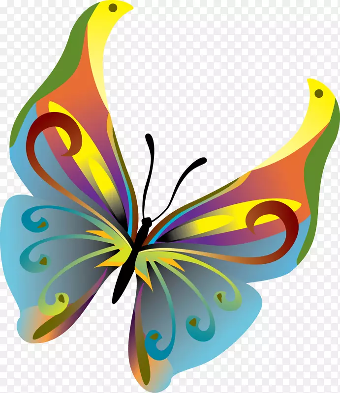 �����������������-����ͼƬ���Ϻ���-������