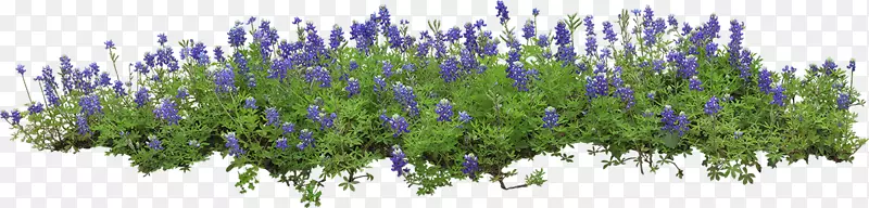 ����¥-��-������