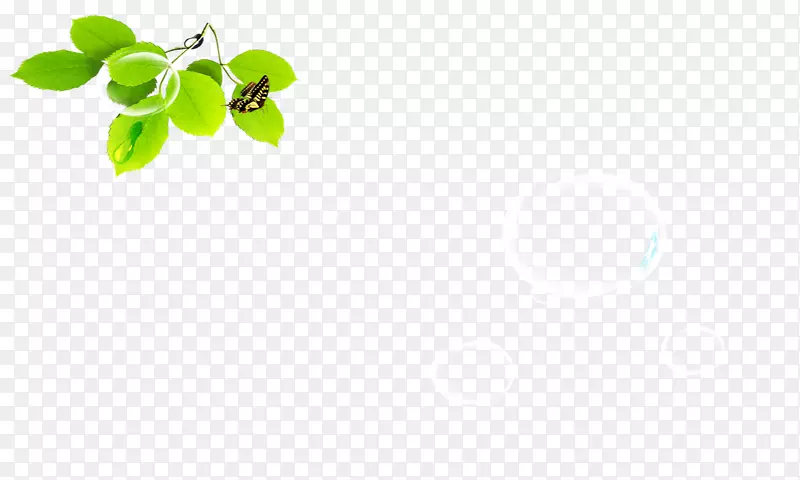 ��Ҷ��-������