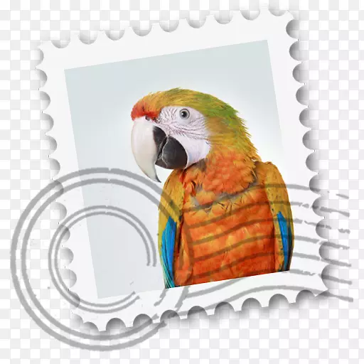 ƻ��Ӧ���̵�-������