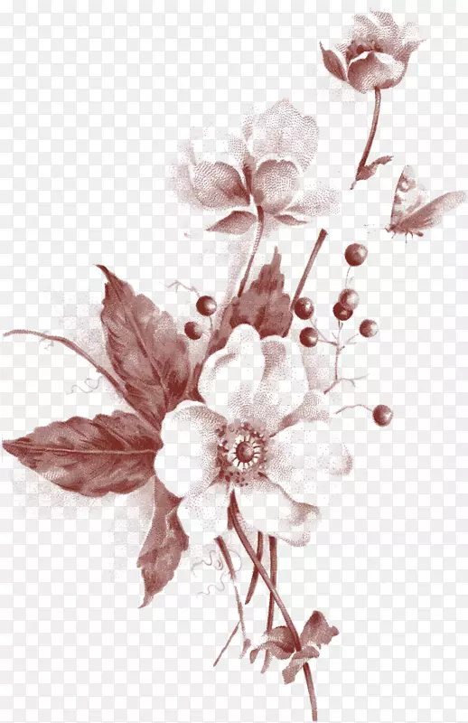 ������ƻ����䷽���հײ��ס���ʳ��ʢ�磺Ұ��ָ�Ϻ�Ұ��ʳƷ����顢ֽ����-������