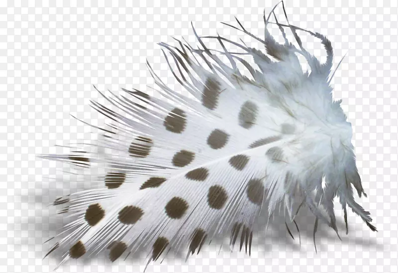 ��ë�����޼�׵������ë-������