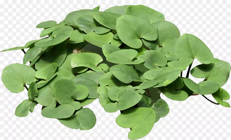 �羰����ɳ����������-��-������