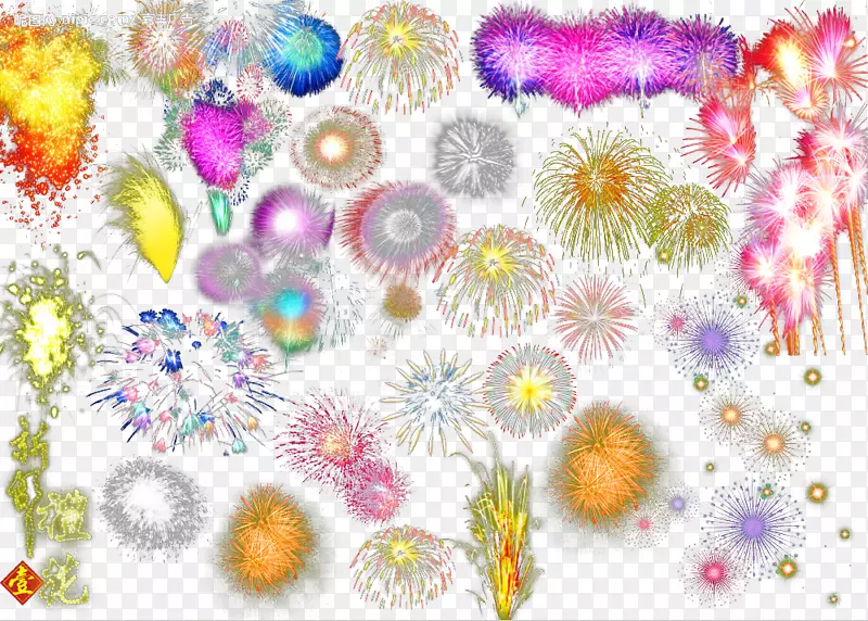 Adobe�̻�-�̻�����-������