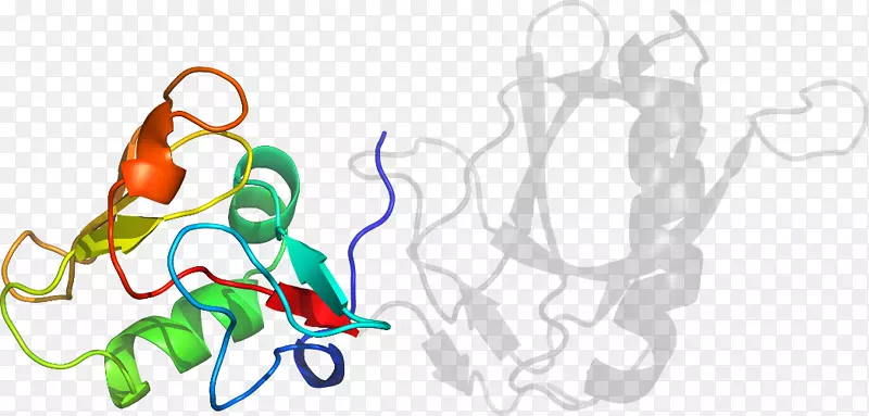 ƽ����Ƽ�����.���-������