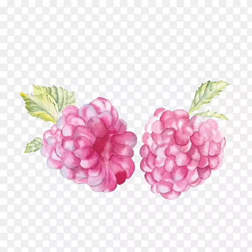 ��ɫ������ˮ�ʻ�-��ݮ-������