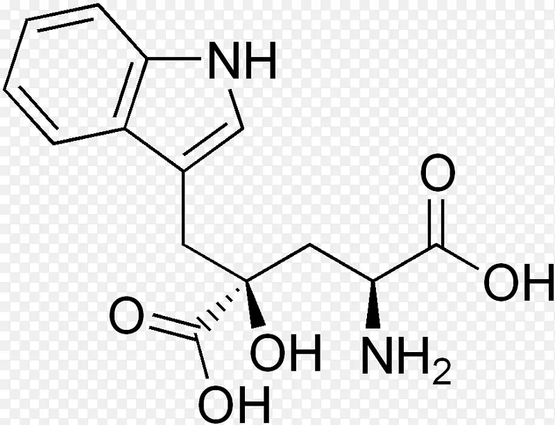 ��������װ�����ʳ����������������-���ǻ���-������