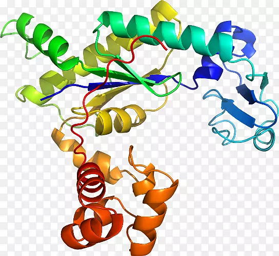 ���������л����߼�������-������