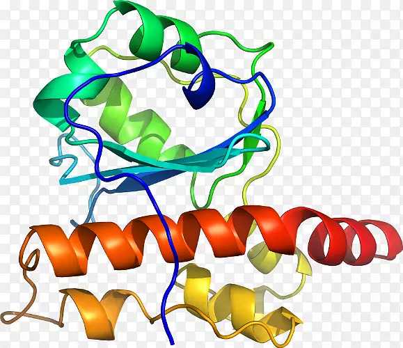 ���������л����߼�������-������