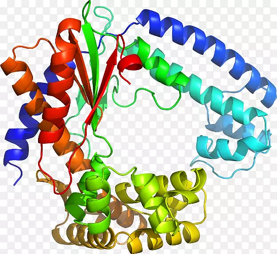 �����鱦�л��������.�鱦-������