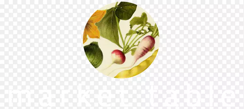 �����߲�װ��ˮ������ʳƷ-Сèͷӥ-������