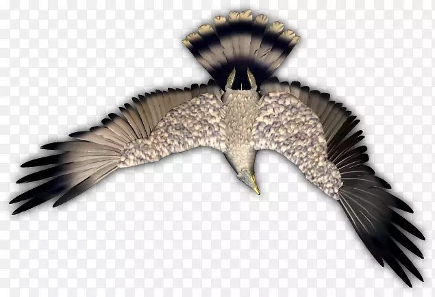 ӥ����ëӥ-������