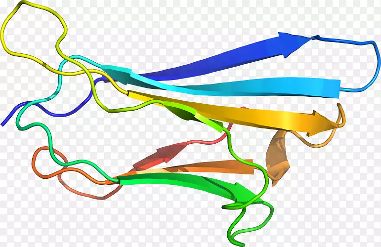 �ߵ������-��-������