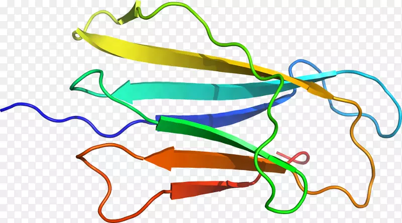 �ߵ������-��-������