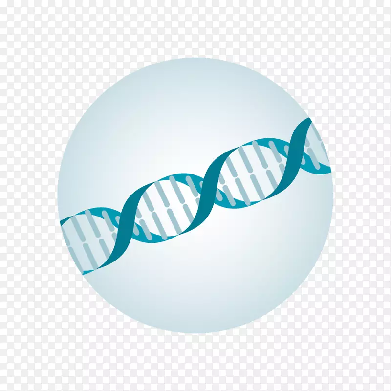 ��Ŀ��̫����-dna����-������