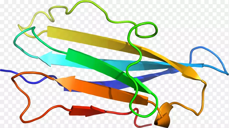 �ߵ������-��-������