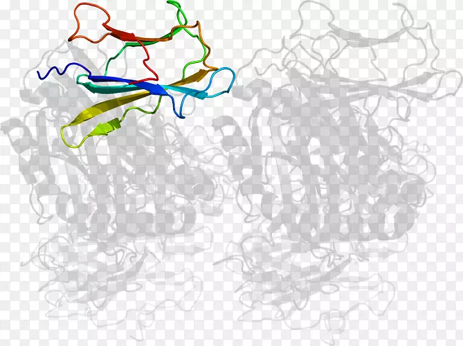 ƽ����Ƽ�����.���-������